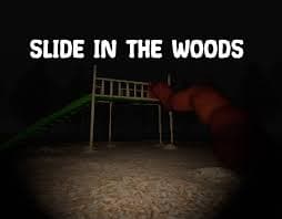 Slide in the Woods