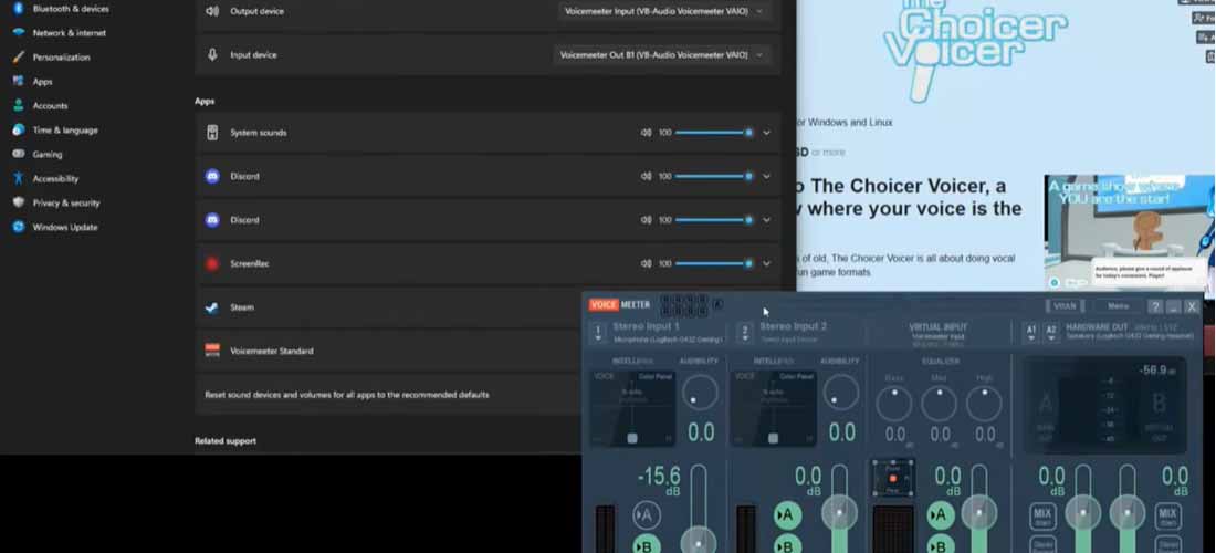 How to Set Up Your Microphone in The Choicer Voicer