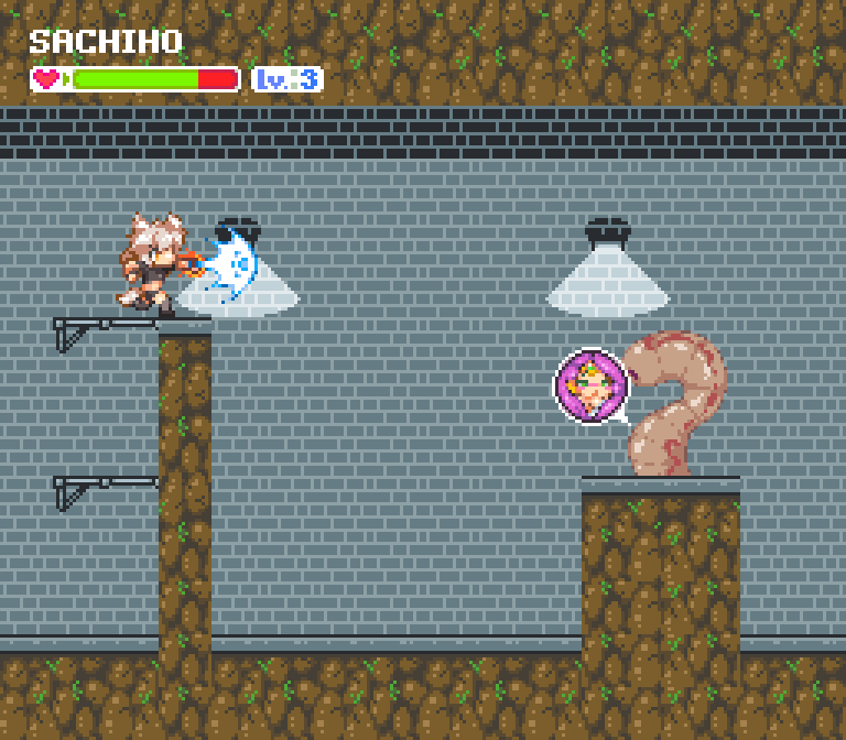 Play the online game Echidna Wars now at anomalousgame.io